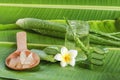 Aloe Vera very useful herbal medicine for skin treatment and us