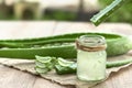 Aloe Vera very useful herbal medicine for skin treatment and use in spa for skin care. herb in nature Royalty Free Stock Photo