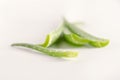 Aloe vera on white background