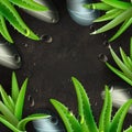 Aloe Vera and zen stones spa frame template Royalty Free Stock Photo