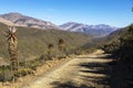 Aloes line the road down Gamkaskloof Royalty Free Stock Photo