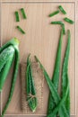 Aloevera fresh leaf on the wooden table,aloe vera on wooden table,Herbs for Health,copy space Royalty Free Stock Photo