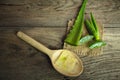 Aloevera fresh leaf on the wooden table,aloe vera on wooden table,Herbs for Health,copy space