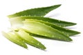 Aloevera on the table