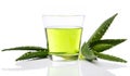 Aloevera on the table Royalty Free Stock Photo