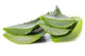 Aloevera on the table Royalty Free Stock Photo