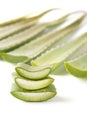 Aloevera on white background