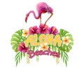 Aloha Hawaii Beaches greeting. Hand drawn watercolor painting with pink Flamingo, Chinese Hibiscus rose flowers and palm leaf