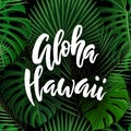 Aloha Hawaii brush lettering.