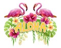 Aloha Hawaii greeting. Hand drawn watercolor painting with two pink Flamingo, Chinese Hibiscus rose flowers and palm leave