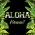 Aloha Hawaii illustration, palm leaves mirror background