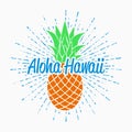 Aloha Hawaii typography graphics for t-shirt with pineapple and sunburst. Vintage design for summer clothes. Vector.