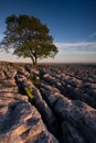 Alone Above Malhamdale