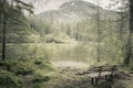 Alone bench in natural forest and lake in mountains