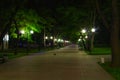 Night park in sommer. Royalty Free Stock Photo