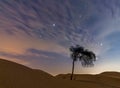 Alone in the dry Arabian desert Royalty Free Stock Photo