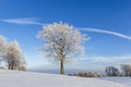 Alone frozen tree on the hill and blue sky with some clouds Royalty Free Stock Photo