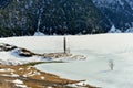 Alone frozen tree in a frozen river in winter on a background of mountains