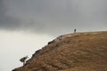 Alone girl on the hill Royalty Free Stock Photo