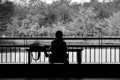 Alone girl sit in the park. Royalty Free Stock Photo