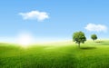 Alone Green Tree With Grass Natural Meadow Field And Little Hill With White Clouds And Blue Sky In Summer Seasonal.