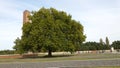Alone Large Tree of Life in A Concentration Camp Royalty Free Stock Photo