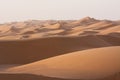 Alone man in the desert dunes of the Wahiba Sand Desert