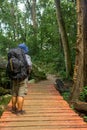 Alone man hikes on the trail