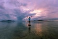 Alone man tourist standing on the stone in tropical sea and enjoying scenery during sunrise or sunset beautiful light dramatic sk