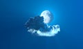 alone night cumulus with moon - conceptual nature 3D rendering Royalty Free Stock Photo