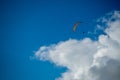 Alone paraglider flying in the blue sky against the background of clouds Royalty Free Stock Photo
