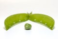 Alone pea and open pod isolated on white Royalty Free Stock Photo