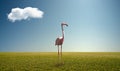 Alone pink wild flamingo on green field Royalty Free Stock Photo