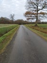 Alone road at evening Royalty Free Stock Photo