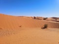 Alone in Sahara Desert, Algeria Royalty Free Stock Photo