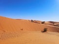 Alone in Sahara Desert, Algeria Royalty Free Stock Photo