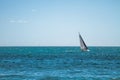 Alone sports sailing yachts at Mediterranean sea. Royalty Free Stock Photo