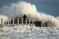 Alone surfer in wetsuits with surfboard on a city pier amid powerful waves in Australia. Concept: confrontation between the Royalty Free Stock Photo