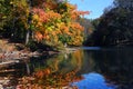 Alone Time of Poplar Tree Lake