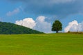 Alone tree on a blue sky with white clouds