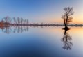 Alone tree in lake with color sky Royalty Free Stock Photo
