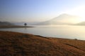 Alone tree in lake in sunny day Royalty Free Stock Photo