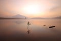 Alone tree in lake in sunny day Royalty Free Stock Photo