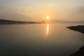 Alone tree in lake in sunny day Royalty Free Stock Photo