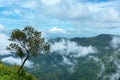 Alone Tree on the mountain field during mist sunrise. Beautiful natural landscape in the summer time. Phu Thap Boek