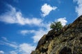 Alone tree on the rock against blue sky and clouds Royalty Free Stock Photo