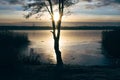 Alone tree at shore of frozen lake Royalty Free Stock Photo