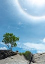 Alone tree on the top of stone mountain with beautiful sun halo Royalty Free Stock Photo