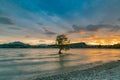 Alone Wanaka Tree on water lake, New Zealand Royalty Free Stock Photo