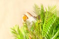 Alone woman sitting under palm tree branches with glass of water with piece orange. Female relaxation on the sand of the beach Royalty Free Stock Photo